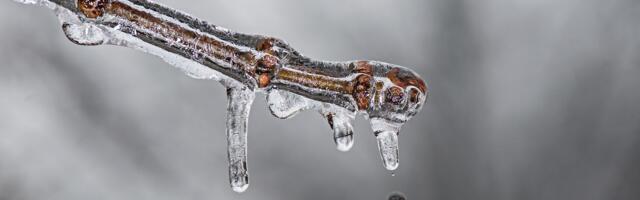 Soomes tuleb nädala lõpus 10 kraadi sooja