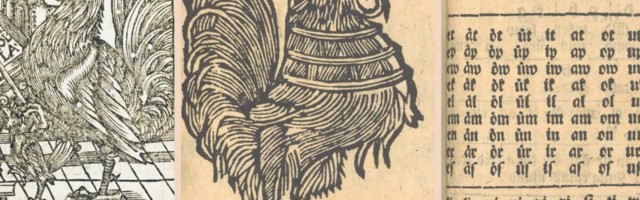 Need erilised leiud võivad muuta eestikeelsete aabitsate ajalugu