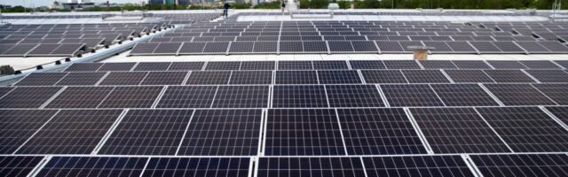 Pärnumaale rajatakse Eesti üks suurimaid päikeseparke