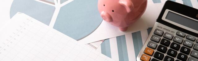 Lemetti peab andma aru vallavalitsuse palga- ja tegevuskulude kohta