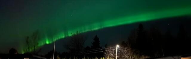 VIRMALISTE GALERII: viimsilased jäädvustasid valguse mängu