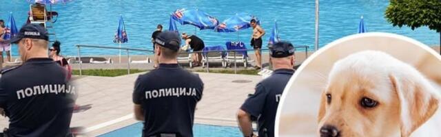 HOROR U SVRLJIGU! Monstrum zaklao štene i bacio ga u bazen pun kupača!