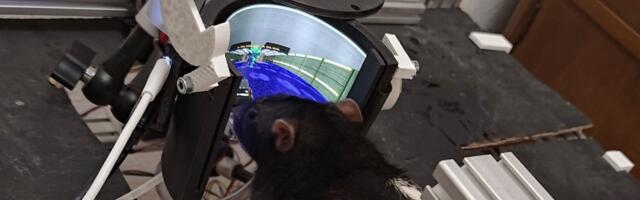 Experiment to train rats to play Doom reaches a new level; rats can now shoot enemies — wraparound AMOLED screen provides virtual environment for neuroengineers' expanded open source project