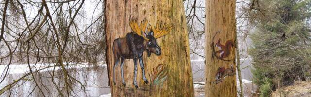 Keh­ra sa­la­pä­ra­ne met­sa­kunst­nik on puu­tü­ve­de­le maa­li­nud 70 lin­nu- ja loo­ma­pil­ti