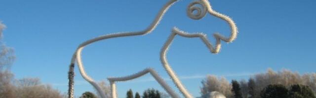 Ilmaennustaja argipäev: toonekured varastavad kraadiklaase, eeslid mõõdavad tuult