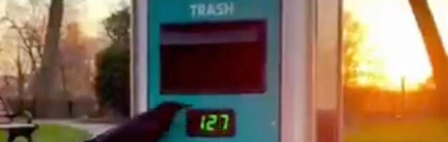 VIDEO: Rootsis on prügiautomaat, mis premeerib linde