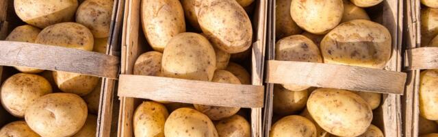 9 asja, mida teada kartulite kohta