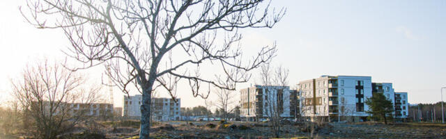 Kiire kaablinett ja jõukas IT-rahvas ilmuvad piirkonda käsikäes