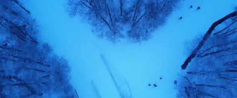 Made With DJI Mavic Air. Music By Carbon Based Lifeforms - Birdie.