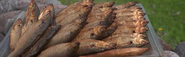 Suvereporter käis Peipsi peal reidil! Rääbist võib sel aastal püüda vaid 49 tonni