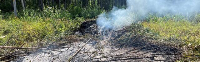 Lõuna-Eesti päästjatel oli töine nädalavahetus