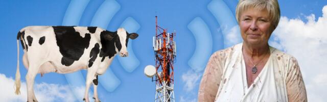 Videointervjuu! Dr. Magda Havas PhD: Tantsivad lehmad ja nähtamatu saaste – mida EMF tegelikult meie kehaga teeb?