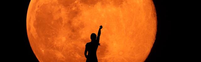 Need tähemärgid ei murdu kergesti – põhjused, miks nendega pole mõistlik vaidlema hakata