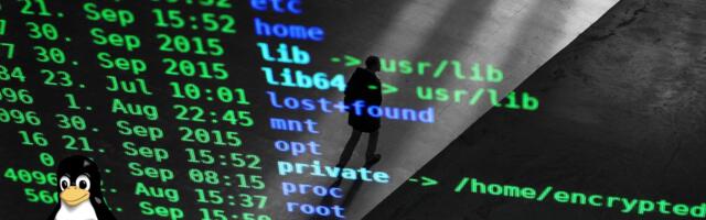 Linux lays down the law on AI-generated code, yes to Copilot, no to AI slop, and humans take the fall for mistakes — after months of fierce debate, Torvalds and maintainers come to an agreement