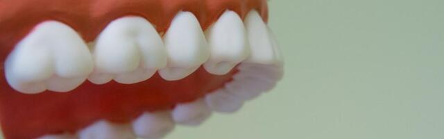 Ärev hommik Järve keskuse juures: raevunud mees hammustas mitut politseinikku