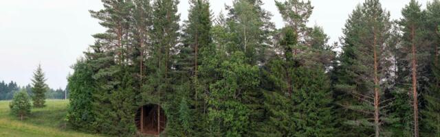 Tartu 2024 viib lätlased tehnoloogilise kunsti näitusega “Metsikud bitid” metsa