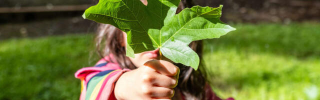 Kuidas õpetada lastele keskkonnasõbralikkust ja teha seda kõike mänguliselt