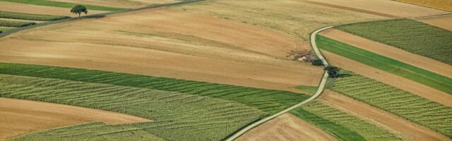 Maakasutuse sektori statistika muutub täpsemaks