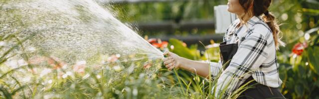 Suvised aiatööd: väeta, istuta, naudi