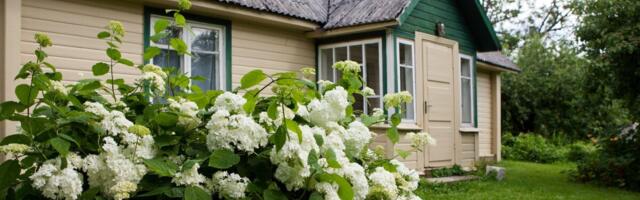 Suvekodu – kas hea investeering või hoopis meie vaesuse põhjus?