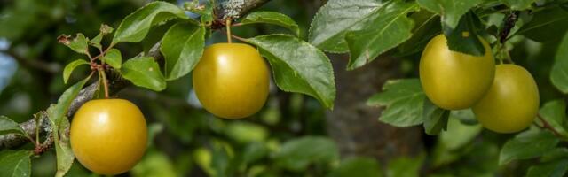 ILMATEADE | Esmaspäev on selge ja päikesepaisteline