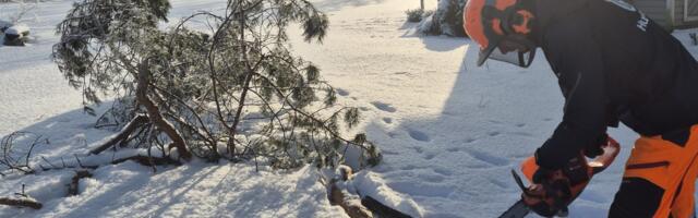 Ehmatav tõsiasi: aiapidajad soetavad küll kettsae, aga kaitsevahendeid mitte 