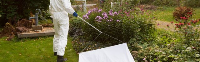 Soomlane leiutas tõhusa puugipüüdja, mida sel kevadel testiti ka Helsingi ülikoolis