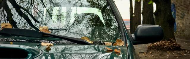 EiK soovitab: Sõidumuusika – aga mitte ainult – nädal 44