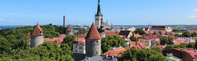 VIDEO. Kaasav eelarve toob linnaruumi rohelust: botaanikaaed, põõsarinne ja seikluspargid