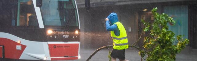 ILMATEADE | Tormine nädalavahetus: oodata on äikest ja tugevaid tuulepuhanguid, pühapäeval on 30 kraadi sooja