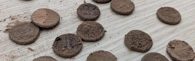 Itaalias tulid ootamatult pärast vihma välja 2000 aasta vanused mündid