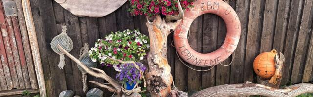 Abivallavanema hinnangul saatis laevakompanii volikogu liikmetele emotsionaalse kirja