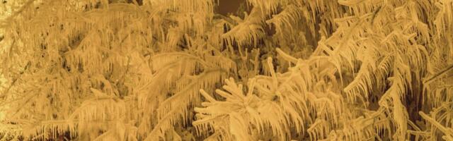 FOTOD | Nagu talvevõlumaa! Tugev tuul muutis Valaste joa jäämaailmaks