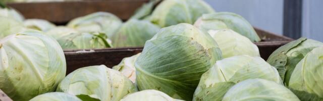 HINNAVAATLUS | Toiduainete hinnad jätkavad tõusmist