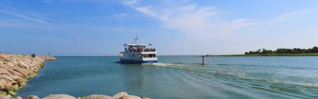 GALERII: sulnis südasuvi Leppneeme sadamas