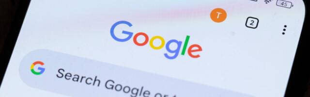 LUGEJA KÜSIB | Kas tööle kandideerijat tohib guugeldada?