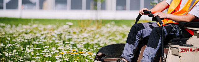 Seadus keelab alaealistel tööna muru niita