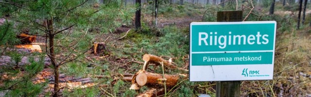 Eesti Metsa Abiks pöördus luitemetsa raie pärast rahvusvahelise järelevalvaja poole