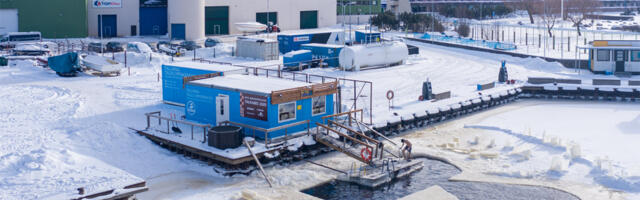 Linn kutsub liikumisaastal taliujuma