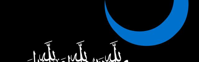 LOOVUS JA PIIRID ⟩ Lipuga liputamisest: joodikute roppused ja sinimustvalge Taavi Eelmaa pärakus