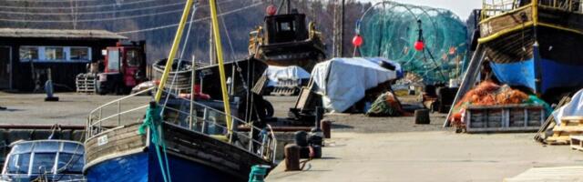 RUSLAN DONTSOVI GALERII: kevadine vaikelu Leppneeme sadamas