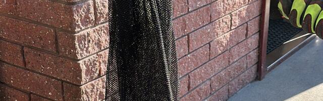 Päästjad viisid kortermaja külastanud mao loodusesse, abistasid liiklusavariil ja kustutasid turbapinnast