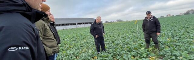 Cortevaga Taanis biopreparaadi UtrishaN efektiivsust uurimas