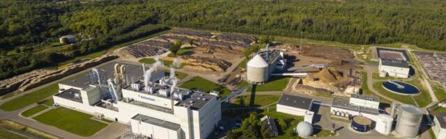 Estonian Celli tehas seisab mai alguseni