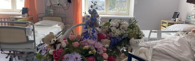 Looduse ime: Ida-Tallinna Keskhaigla sünnitusmajas sündisid nelikud