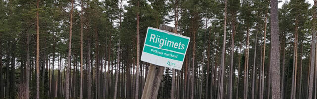Hiiumaa riigimetsi ootavad muutused