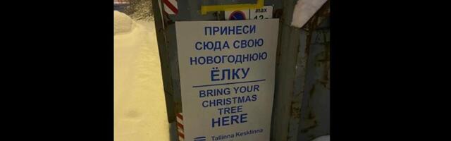 „Tekitasid segadust ja küsimusi“ - Tallinna kesklinnast kadusid võõrkeelsed kuusekogumise sildid