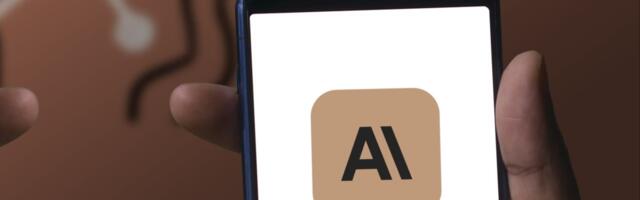 AI start-up Anthropic seeks valuation of over $150bn from Mideast funds