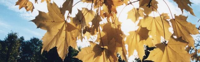 Septembri ilmaprognoos: kuu esimene pool on keskmisest märksa soojem