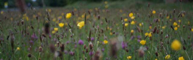 Eesti keskkonnakaitsekulutused tõusid 821 miljoni euroni